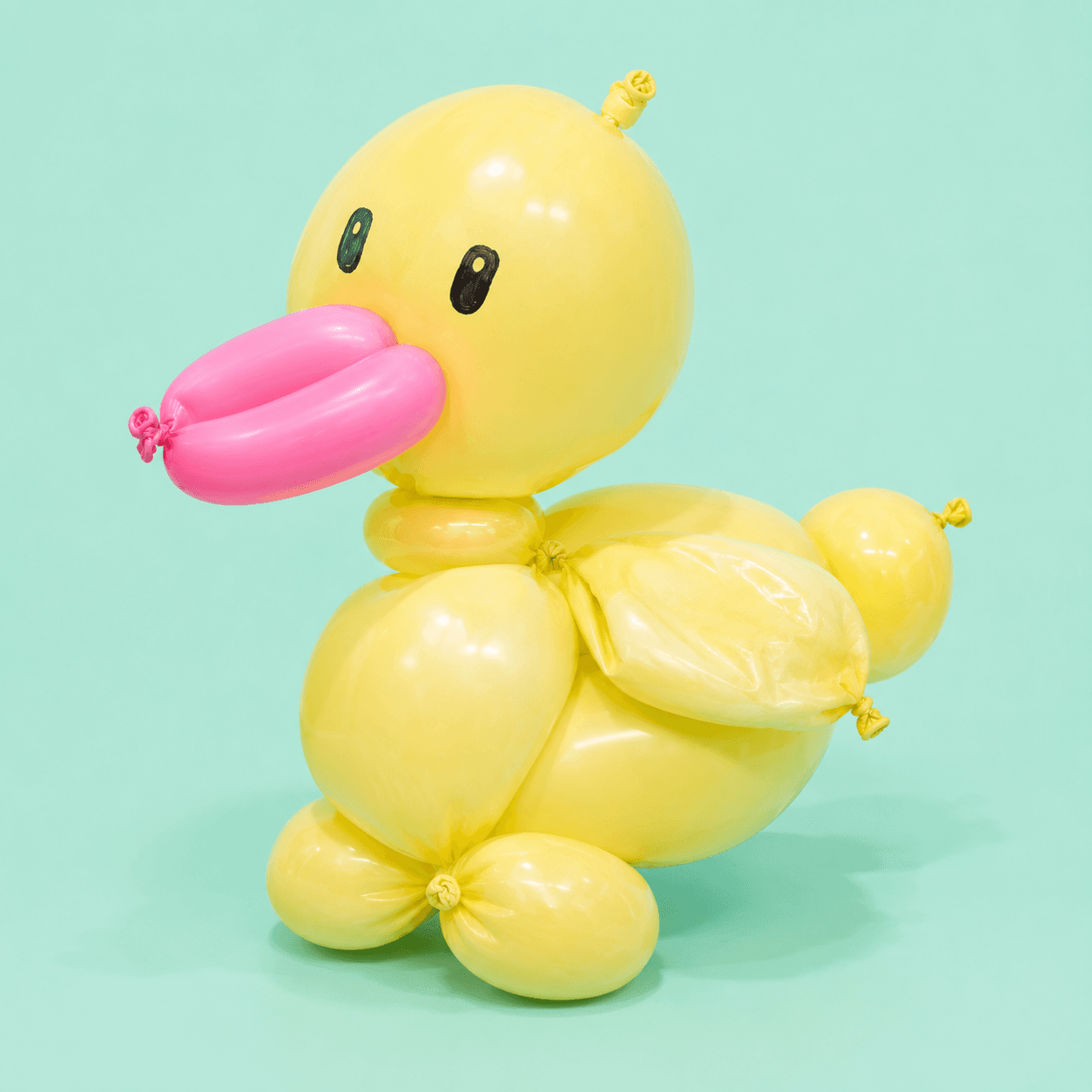 오리_새.png