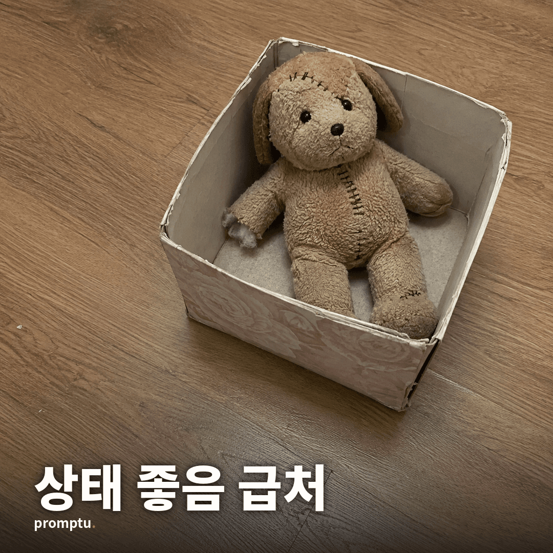 대표썸네일.png
